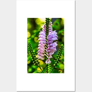 Obedient Plant 1 Posters and Art